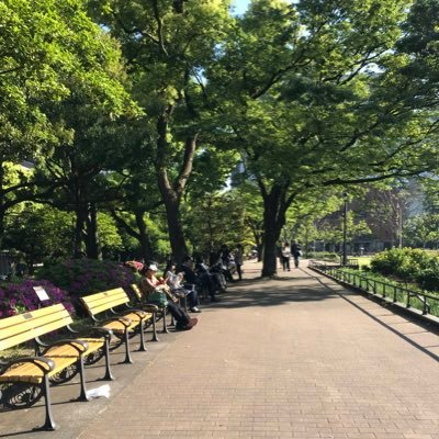 都内勤務。英語勉強垢。TOEIC 2019年4月 445点、5月 450点、6月 505点、7月 475点、9月 525点。12月 515点。2020年1月 605点。目標2021年内に800点越え!