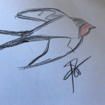 Dinamizadora Social-Técnica de Medio Ambiente-Interprete de la Naturaleza-Piragüismo-Auxiliar Administrativo-Ámbito geográfico de trabajo: Castilla y León.
