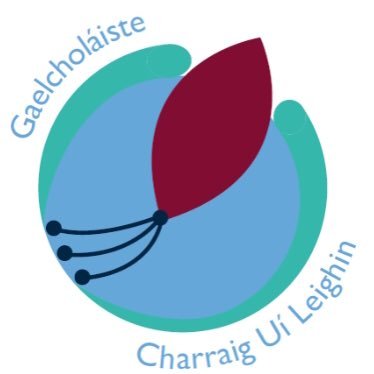 gaelcholaistec Profile Picture