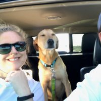 Lacey (@laceminace) 's Twitter Profile Photo Lacey (@laceminace) 's Twitter Profile Photo