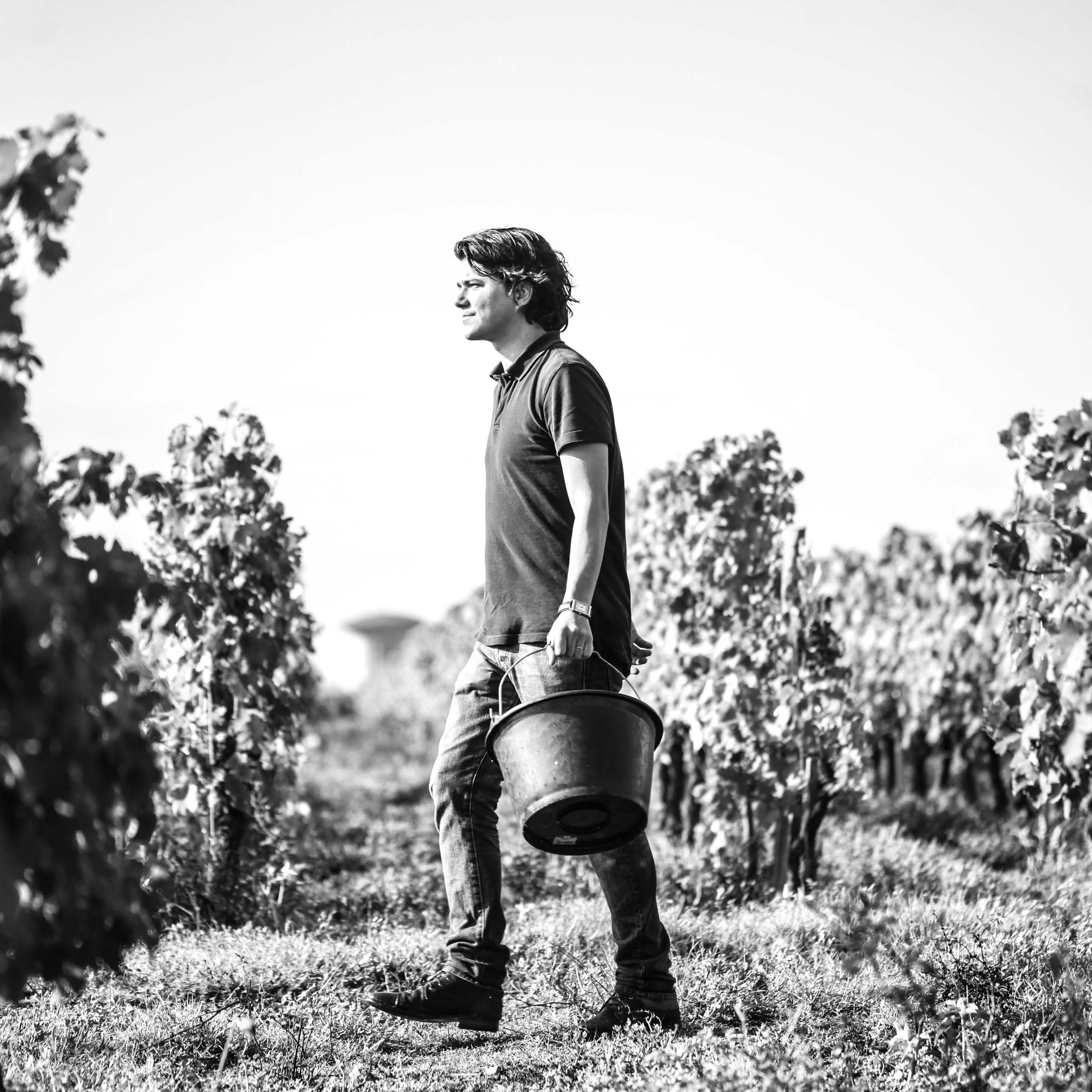 Gérant du Château des Annereaux (@annereaux), Lalande de Pomerol - Agriculture Biologique 🌿🍷/ Négociant en vin bio / Supporter du FC Girondins de Bordeaux ⚽️