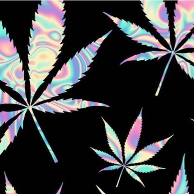 tonygar24801528's profile picture. 