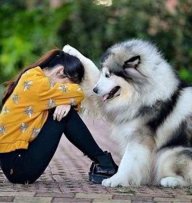 لا يبوح الورد بإحتياجاته للماء ☻اما ان يسقي 💧او يموت في هدوء 😞
