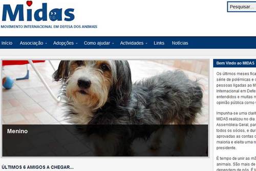 O MIDAS – Movimento Internacional em Defesa dos Animais é uma associação que se dedica-se à recolha, tratamento e entrega para adopção de animais.