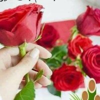 استغفر الله (@f795vv) 's Twitter Profile