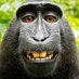 Borredatis (@borredatis) Twitter profile photo Borredatis (@borredatis) Twitter profile photo