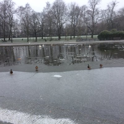 mariamalbatool9's profile picture. My kids are my life