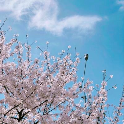 tra2799's profile picture. 