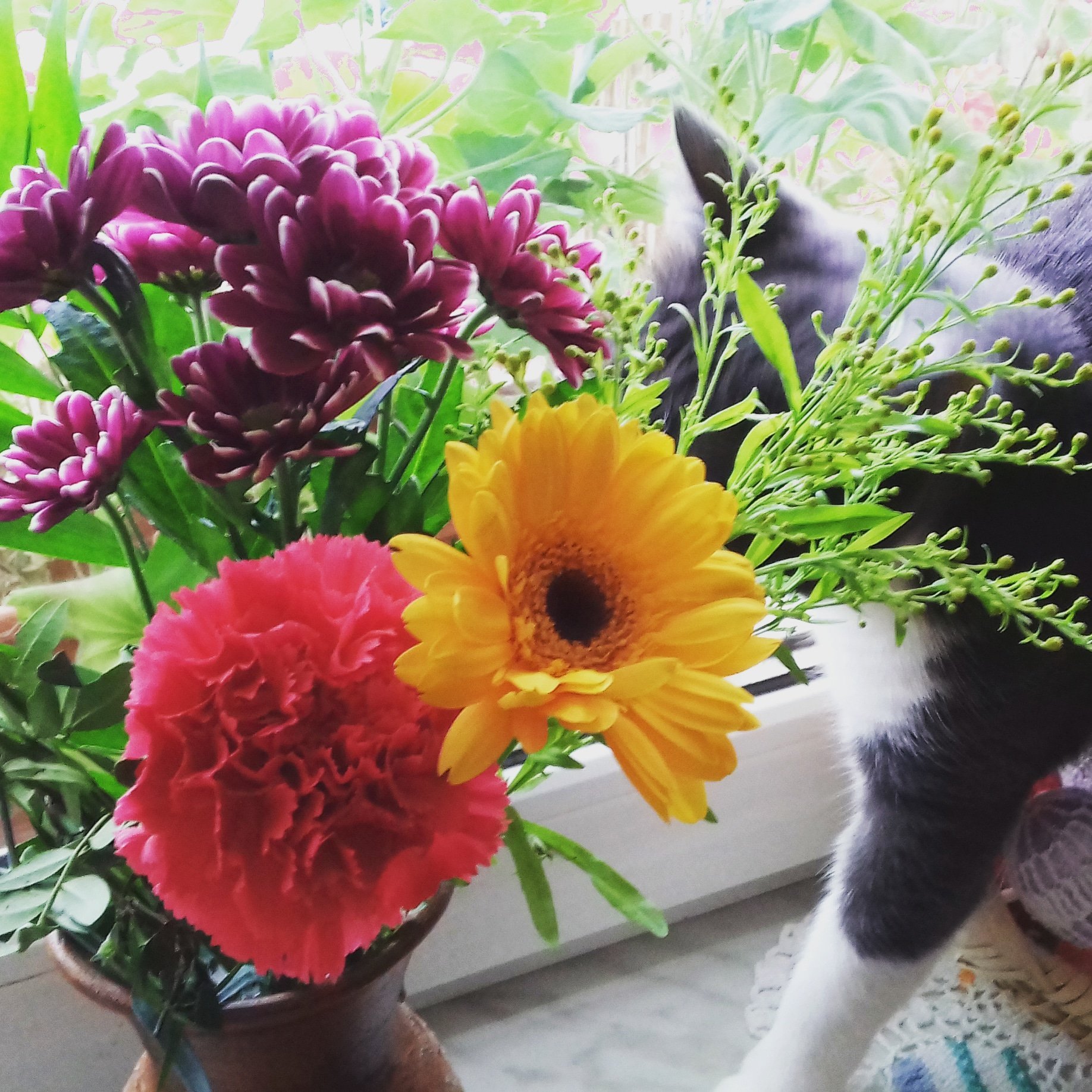 JedynakUrszula's profile picture. 