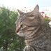 ..sandalcı.. (@gulotekin) Twitter profile photo ..sandalcı.. (@gulotekin) Twitter profile photo
