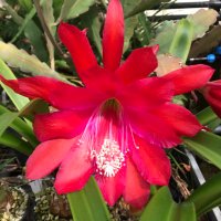CUBG_curators (@cubg_curators) 's Twitter Profile Photo CUBG_curators (@cubg_curators) 's Twitter Profile Photo