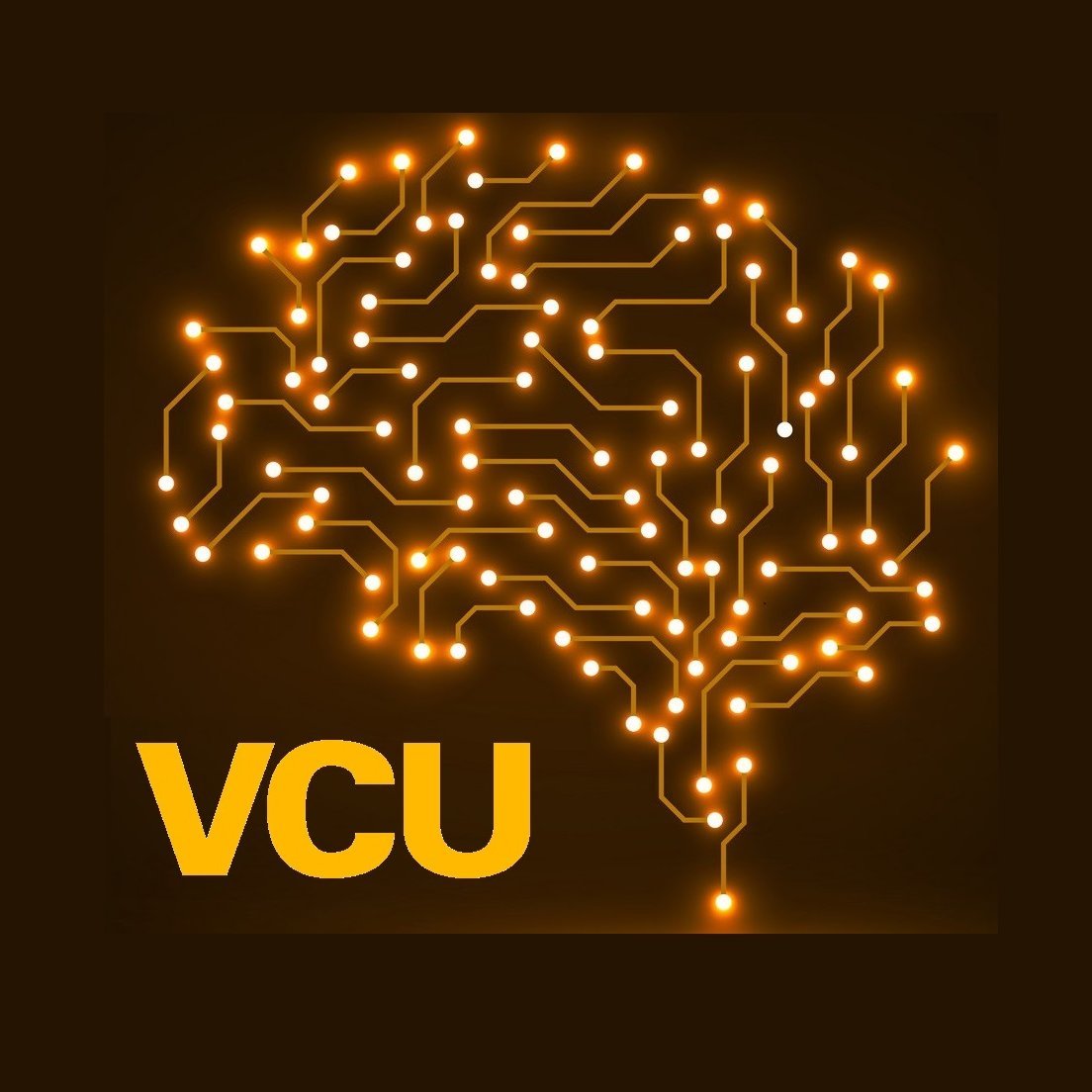 Advanced Signal Processing in Engineering and Neuroscience (ASPEN) Lab @ Virginia Commonwealth University (VCU) directed by Dean Krusienski, PhD.