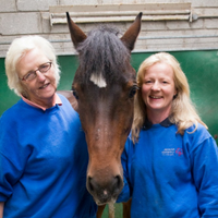 Horses Connect (@horsesconnect) 's Twitter Profile