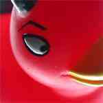 devilsduck's profile picture. 