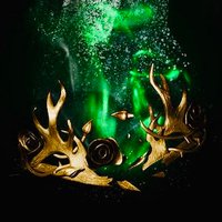 Margaery Tyrell (@margaery_tyrell) 's Twitter Profile Photo Margaery Tyrell (@margaery_tyrell) 's Twitter Profile Photo