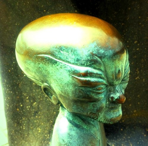 notreesnolives's profile picture. 