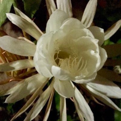 Cambria4DD's profile picture. Herd mentality/willful ignorance undermines. Seeking justice, balance & truth. Music rescues. RTs can be info only-not agreement.