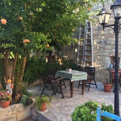 iacovou_andrea's profile picture. 