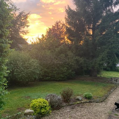 isaherbi's profile picture. observatrice du monde