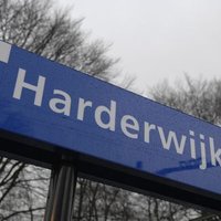 harderwijk (@harderwijk) 's Twitter Profile
