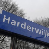 harderwijk(@harderwijk) 's Twitter Profile Photo