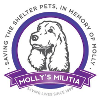 Molly's Militia (@mollysmilitia) 's Twitter Profile