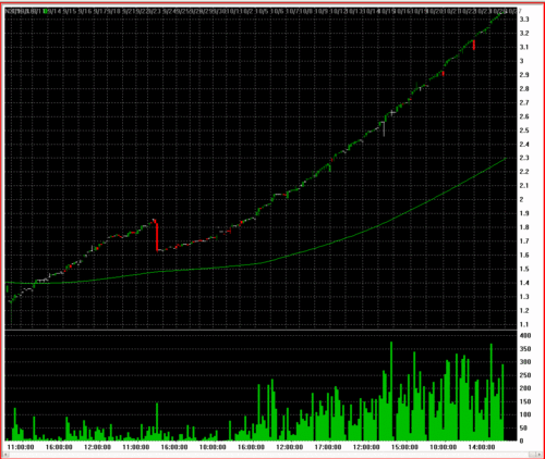 NikolaUA's profile picture. 