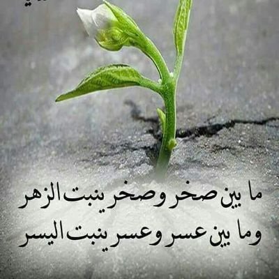 zvnZuCIPaHLvbU2's profile picture. ‏‏