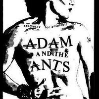 Antmania (@antmania) 's Twitter Profile