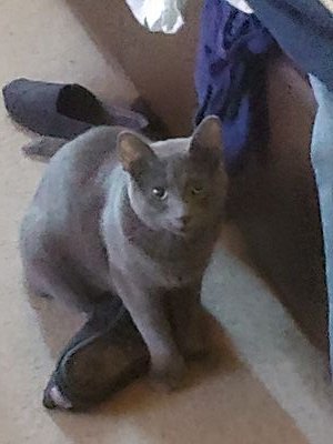 jackson_buxton's profile picture. 