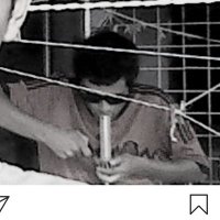 aventurero (@elmaya420) 's Twitter Profile