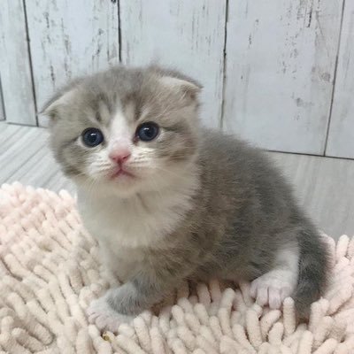 yuuuuna99's profile picture. 作り直しました✂︎