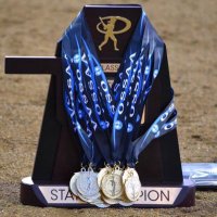 Southmoore Softball (@sabercatsb) 's Twitter Profile