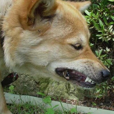 itool_sokimoto's profile image