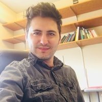 Ali Bicer (@alibcer) 's Twitter Profile