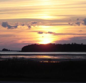 CanadianDomains's profile picture. Domain names and hosting services