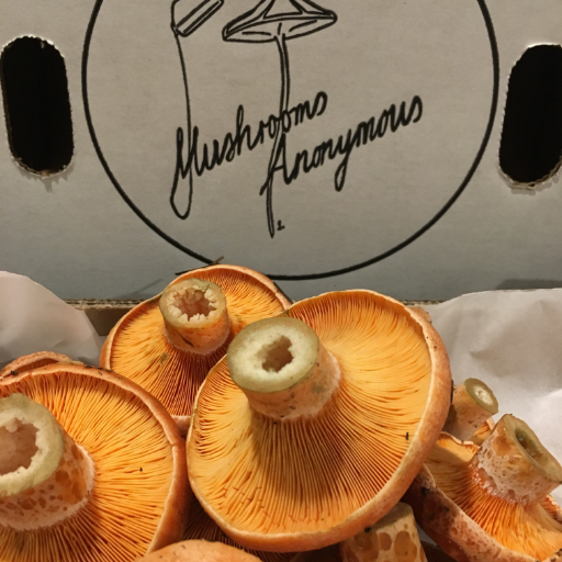 Ex Commoner Restaurant, Avid supporter of @MushroomsAnon, Fungi lover, grower.
