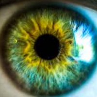 Corneal Research Group (@cornealresearch) 's Twitter Profile