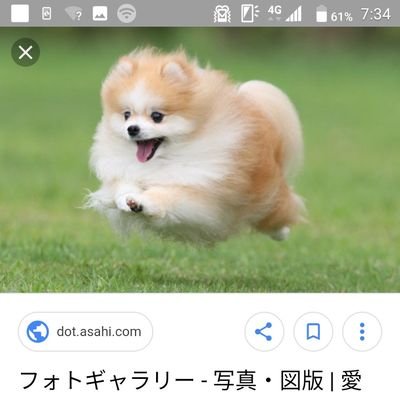 無言フォローすいません
フォロバ10000000000000000000000000000000000000000000%です
今は、学校でストレスをためて生活しています。
趣味は音楽を聴くこと　歌うこと
サイクリング　ギターを弾くことです
フォローよろしく