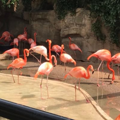 susygzz's profile picture. 