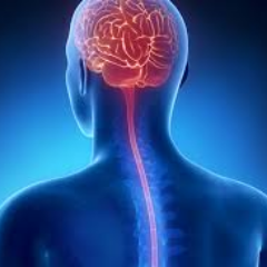 Brain & Spinal Injury Handbook Profile