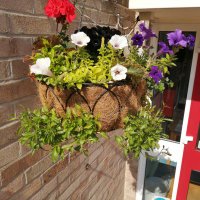 Stewart Court (@stewartcourt3) 's Twitter Profile Photo