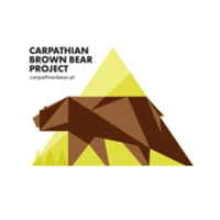 CarpathianBear (@carpathianb) 's Twitter Profile