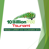 10 Billion Tree Tsunami(@Plant4Pak) 's Twitter Profile Photo