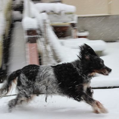 Norico_N's profile picture. MAZDA2