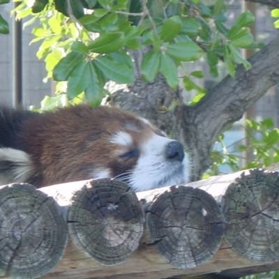 steamboat1004's profile picture. 観劇が好きです。お酒をこよなく愛してます。御朱印も集めてます。阪神タイガースも大好きです。
注）基本的には面識がある方、お話しした事がある方をフォローしてます。