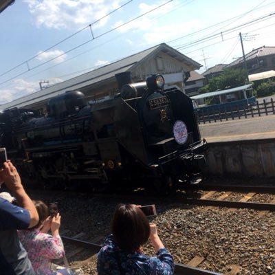 めんだこさんのプロフィール画像