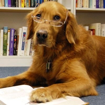 XavierParis9's profile picture. 