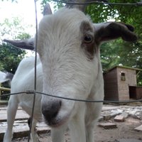 Claythorpe Watermill (@claythorpemill) 's Twitter Profile Photo Claythorpe Watermill (@claythorpemill) 's Twitter Profile Photo