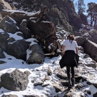 Meghna Gummadi (@gummadimeghna) 's Twitter Profile